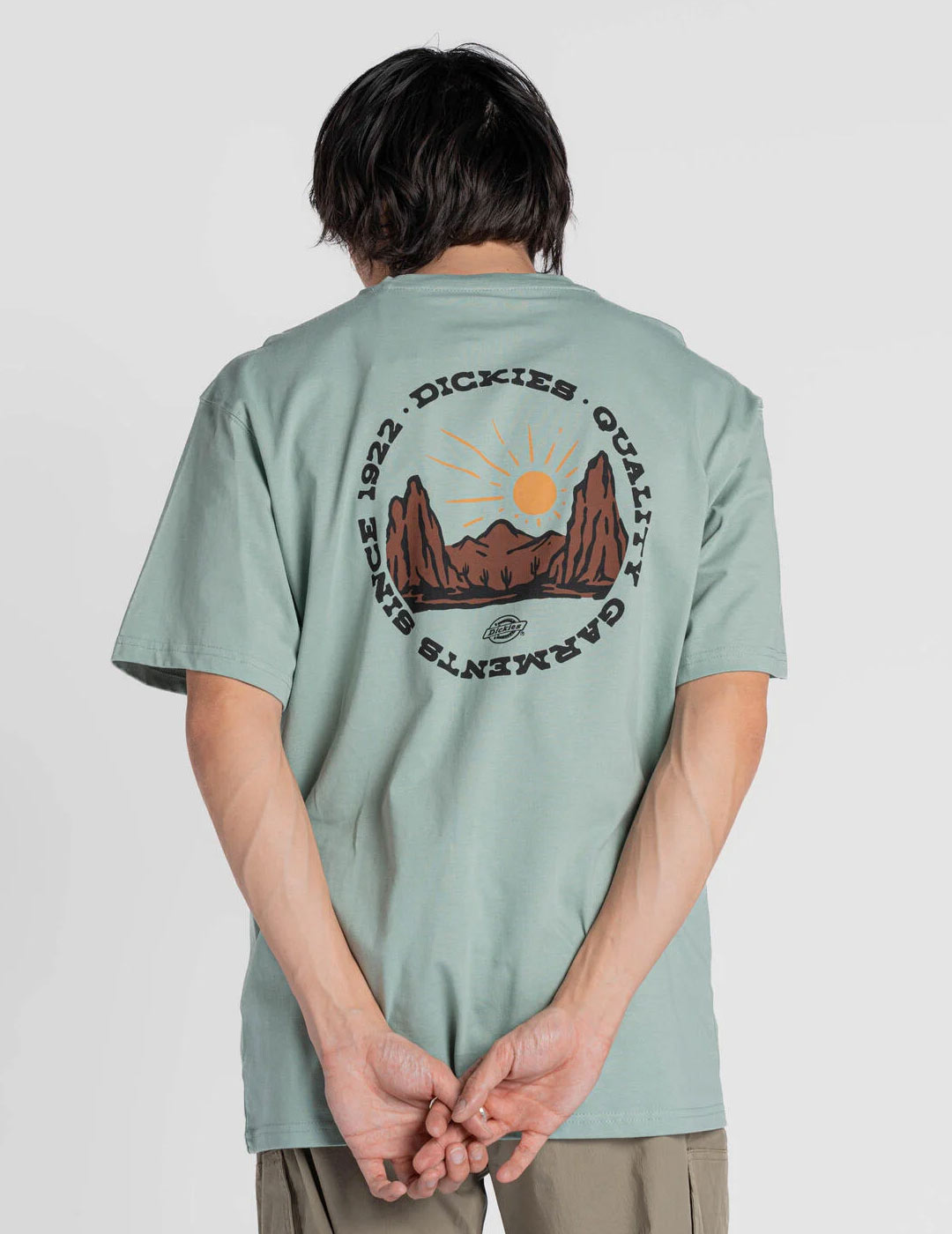 camiseta manga corta hombre DICKIES OUTDOOR, verde